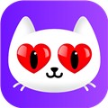 猫咪直播最新版