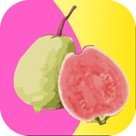 夜月app直播看免费下载